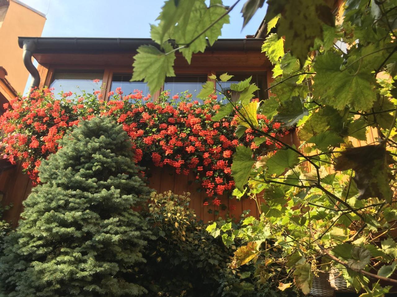 Litoměřice 博罗维奇库旅馆酒店 外观 照片
